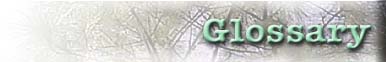 Glossary
