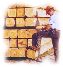 Lumber & Timber